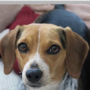 Meet your Posher, Jerry